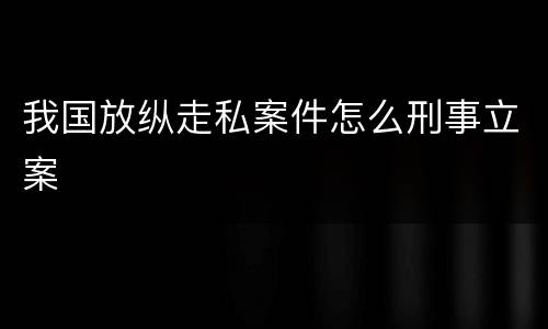 我国放纵走私案件怎么刑事立案