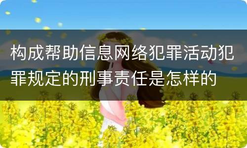 构成帮助信息网络犯罪活动犯罪规定的刑事责任是怎样的