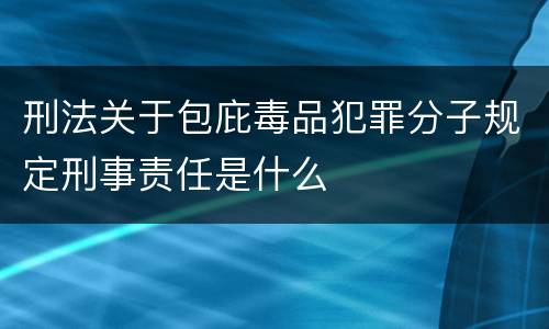 刑法关于包庇毒品犯罪分子规定刑事责任是什么