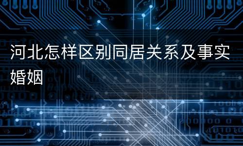 河北怎样区别同居关系及事实婚姻