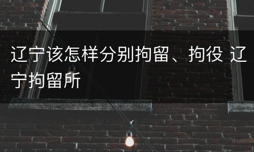 辽宁该怎样分别拘留、拘役 辽宁拘留所