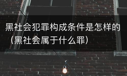黑社会犯罪构成条件是怎样的（黑社会属于什么罪）