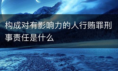 构成对有影响力的人行贿罪刑事责任是什么