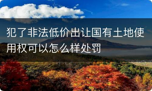犯了非法低价出让国有土地使用权可以怎么样处罚