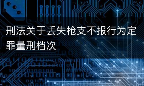 刑法关于丢失枪支不报行为定罪量刑档次