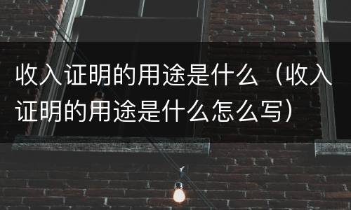 收入证明的用途是什么（收入证明的用途是什么怎么写）