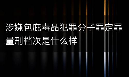 涉嫌包庇毒品犯罪分子罪定罪量刑档次是什么样