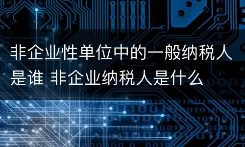 非企业性单位中的一般纳税人是谁 非企业纳税人是什么