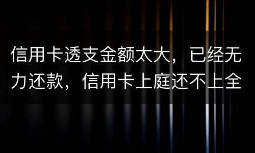 信用卡透支金额太大，已经无力还款，信用卡上庭还不上全款怎么办