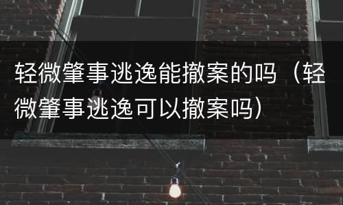 轻微肇事逃逸能撤案的吗（轻微肇事逃逸可以撤案吗）