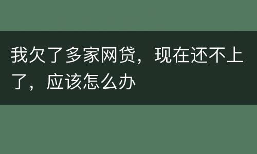 我欠了多家网贷，现在还不上了，应该怎么办