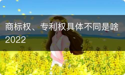 商标权、专利权具体不同是啥2022