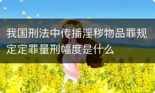 我国刑法中传播淫秽物品罪规定定罪量刑幅度是什么