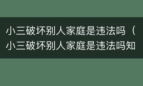 小三破坏别人家庭是违法吗（小三破坏别人家庭是违法吗知乎）