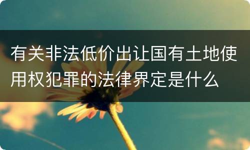 有关非法低价出让国有土地使用权犯罪的法律界定是什么