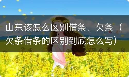 山东该怎么区别借条、欠条（欠条借条的区别到底怎么写）