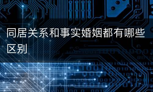 同居关系和事实婚姻都有哪些区别