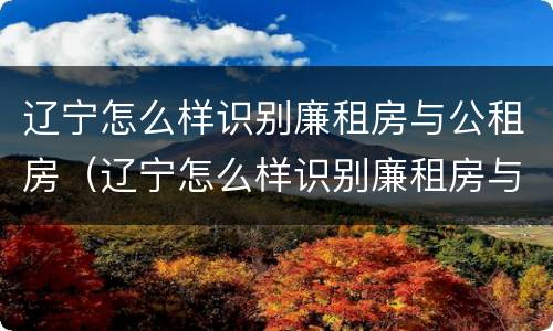 辽宁怎么样识别廉租房与公租房（辽宁怎么样识别廉租房与公租房呢）