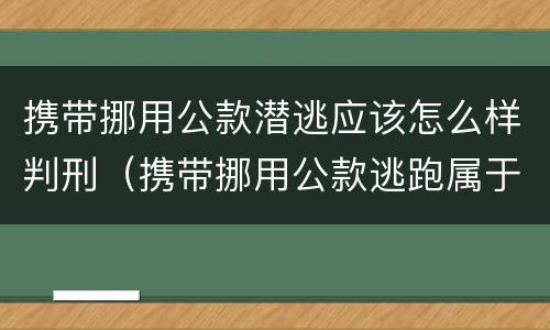 携带挪用公款潜逃应该怎么样判刑（携带挪用公款逃跑属于）