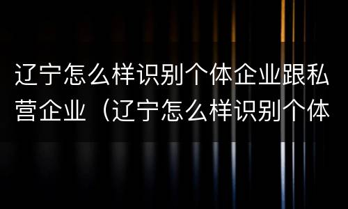 辽宁怎么样识别个体企业跟私营企业（辽宁怎么样识别个体企业跟私营企业的区别）