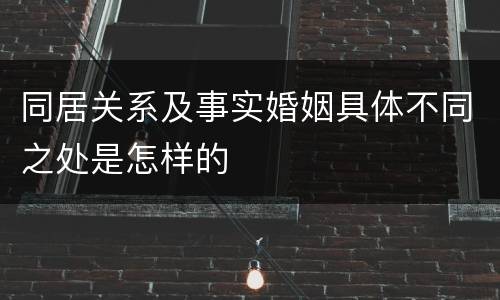 同居关系及事实婚姻具体不同之处是怎样的