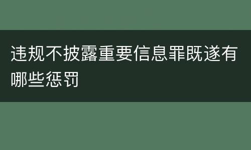 违规不披露重要信息罪既遂有哪些惩罚