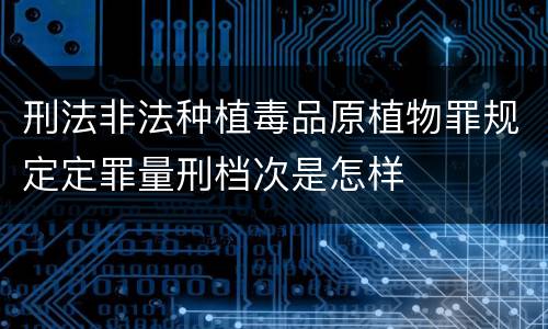 刑法非法种植毒品原植物罪规定定罪量刑档次是怎样