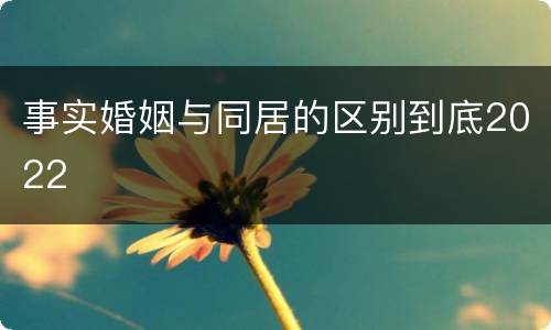 事实婚姻与同居的区别到底2022