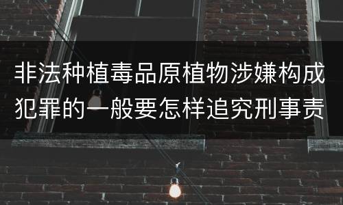 非法种植毒品原植物涉嫌构成犯罪的一般要怎样追究刑事责任