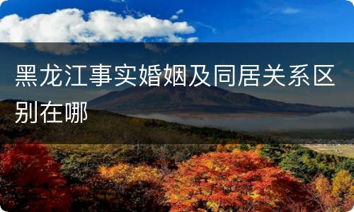 黑龙江事实婚姻及同居关系区别在哪