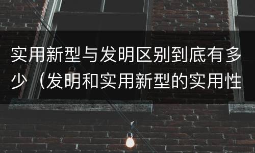 实用新型与发明区别到底有多少（发明和实用新型的实用性）
