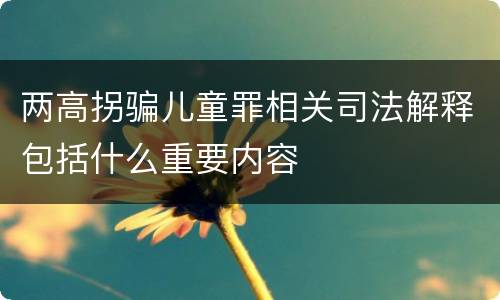 两高拐骗儿童罪相关司法解释包括什么重要内容