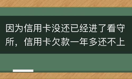 因为信用卡没还已经进了看守所，信用卡欠款一年多还不上怎么办