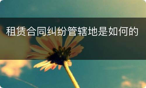 租赁合同纠纷管辖地是如何的