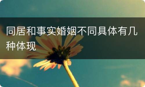 同居和事实婚姻不同具体有几种体现