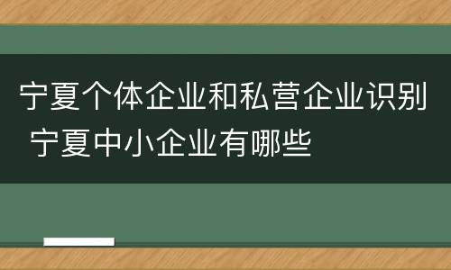 宁夏个体企业和私营企业识别 宁夏中小企业有哪些