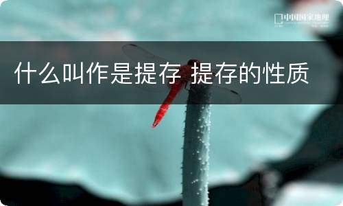 什么叫作是提存 提存的性质