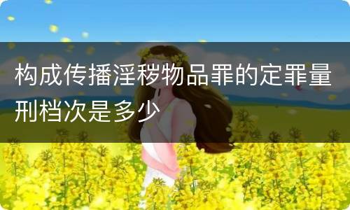 构成传播淫秽物品罪的定罪量刑档次是多少