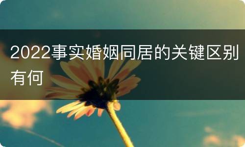 2022事实婚姻同居的关键区别有何