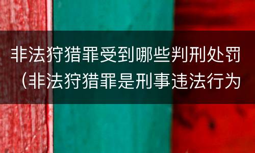 非法狩猎罪受到哪些判刑处罚（非法狩猎罪是刑事违法行为吗）