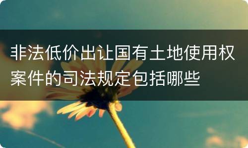 非法低价出让国有土地使用权案件的司法规定包括哪些