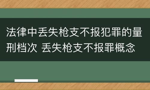 法律中丢失枪支不报犯罪的量刑档次 丢失枪支不报罪概念