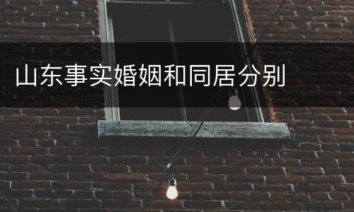 山东事实婚姻和同居分别