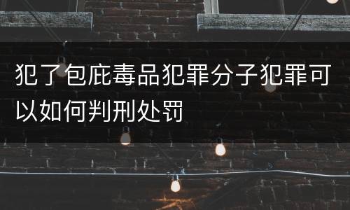 犯了包庇毒品犯罪分子犯罪可以如何判刑处罚