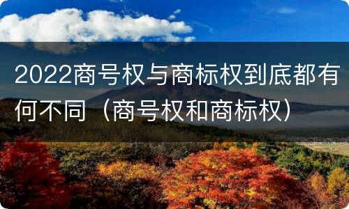 2022商号权与商标权到底都有何不同(商号权和商标权)