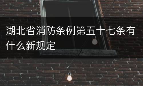 湖北省消防条例第五十七条有什么新规定