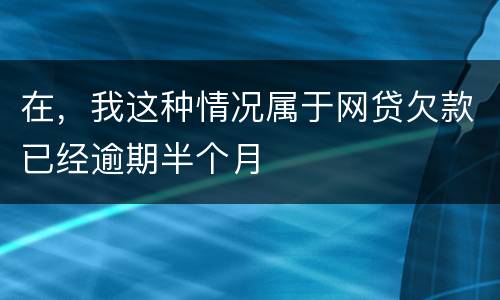 在，我这种情况属于网贷欠款已经逾期半个月
