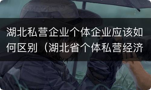 湖北私营企业个体企业应该如何区别（湖北省个体私营经济网）