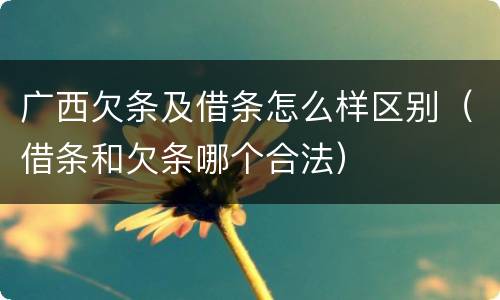 广西欠条及借条怎么样区别（借条和欠条哪个合法）