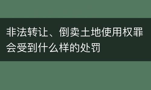 非法转让、倒卖土地使用权罪会受到什么样的处罚